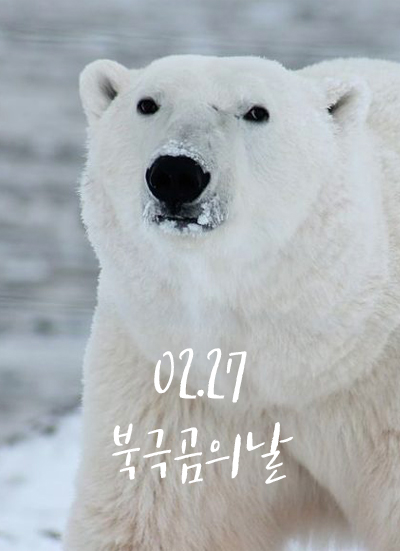02.27 국제 북극곰의 날 :)